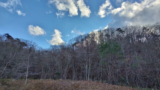 IMG_20221230_143703182_HDR