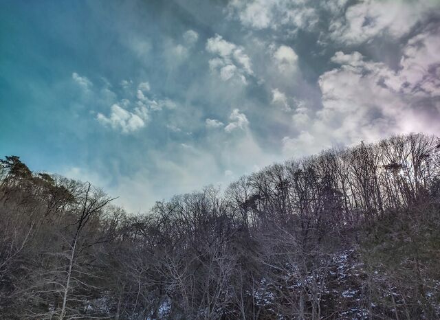 IMG_20220129_141826500_HDR_edited9