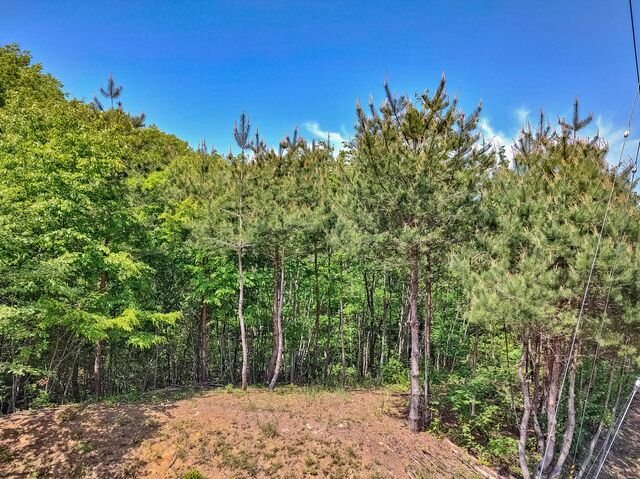 IMG_20220507_101114712_HDR_edited