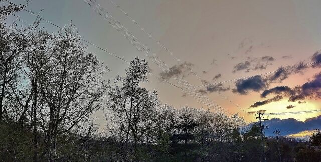 IMG_20220422_180354514 (640x324)