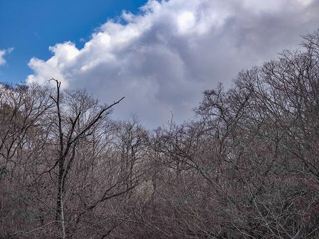 IMG_20220416_140640815_edited