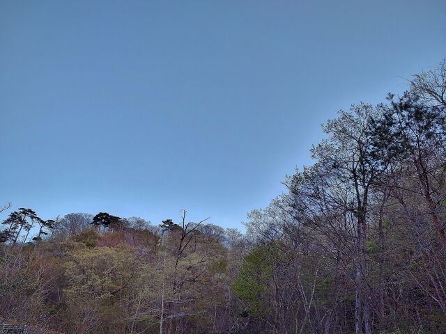 IMG_20220422_180555787_HDR