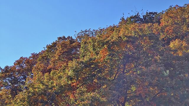 IMG_20221103_102101352