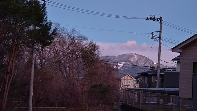 IMG_20221223_063022203