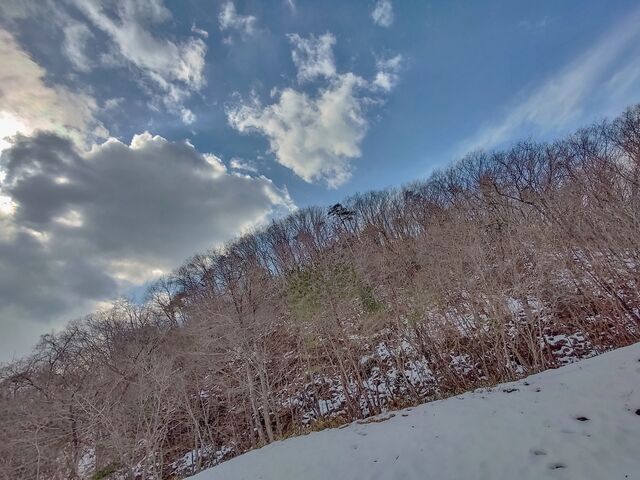 IMG_20220227_110933451_HDR_edited
