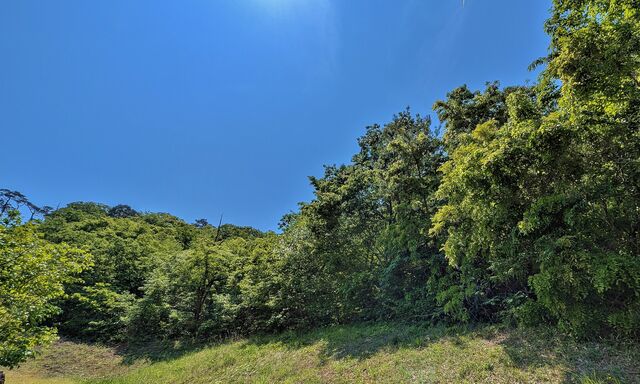 PXL_20260517_013816037