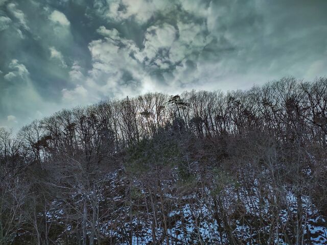 IMG_20220129_141835436_HDR_edited