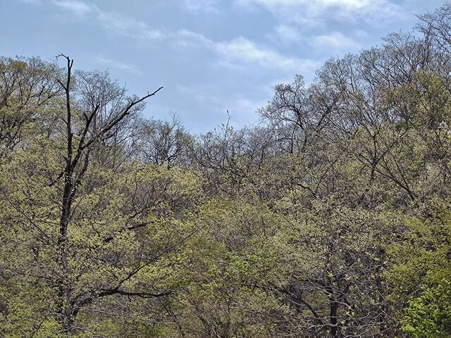 IMG_20220423_114537437