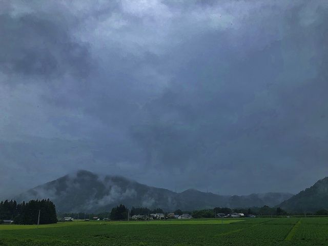 IMG_0557