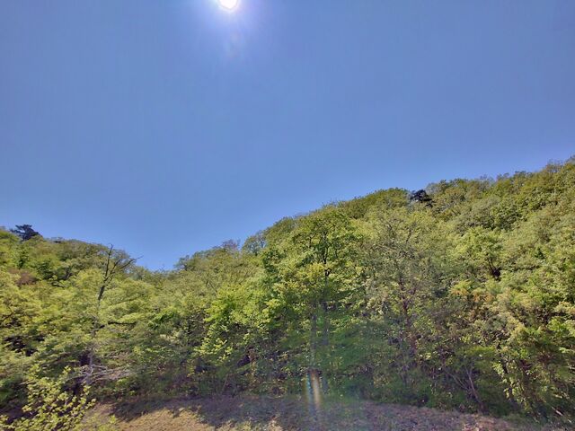 IMG_20220504_113447871_HDR