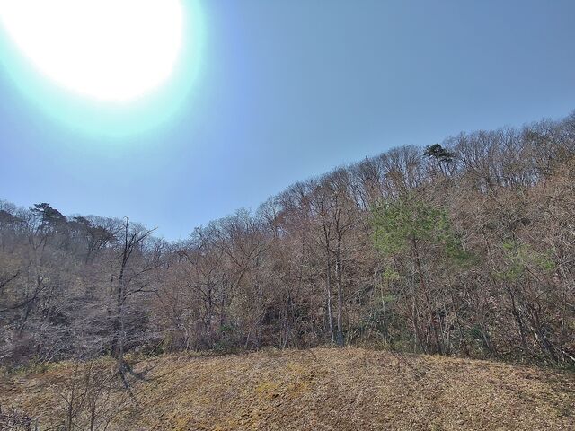 IMG_20220410_102630967