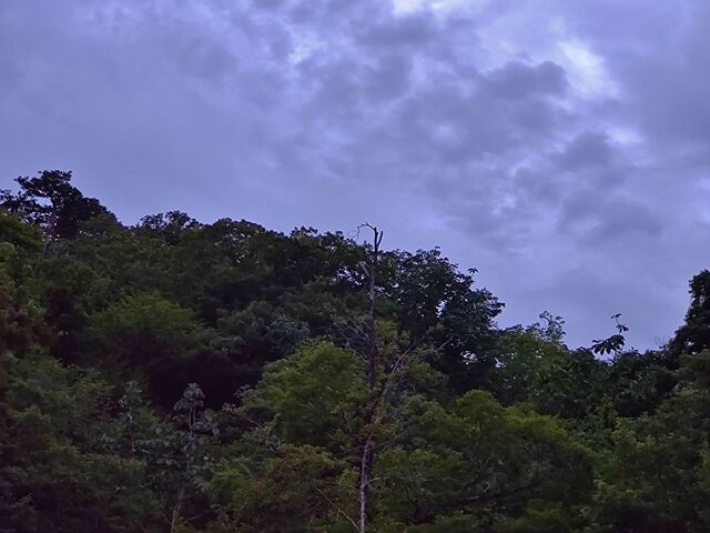 IMG_20220824_182750539