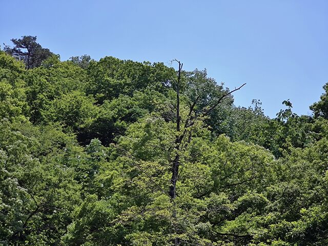 IMG_20220529_114341593