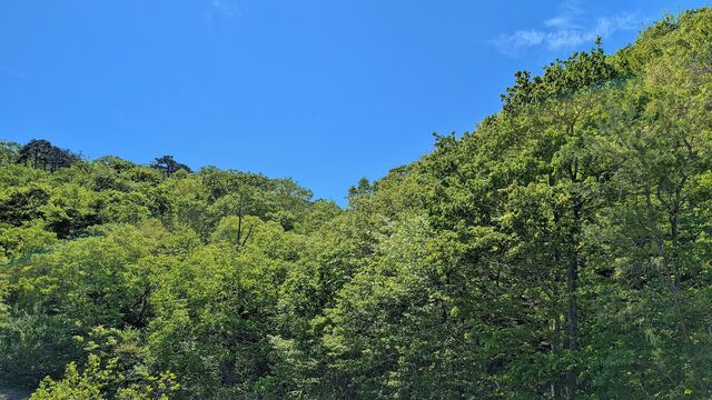 PXL_20260506_013037491
