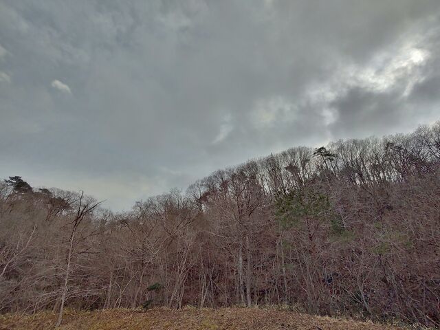 IMG_20220313_161446840_HDR
