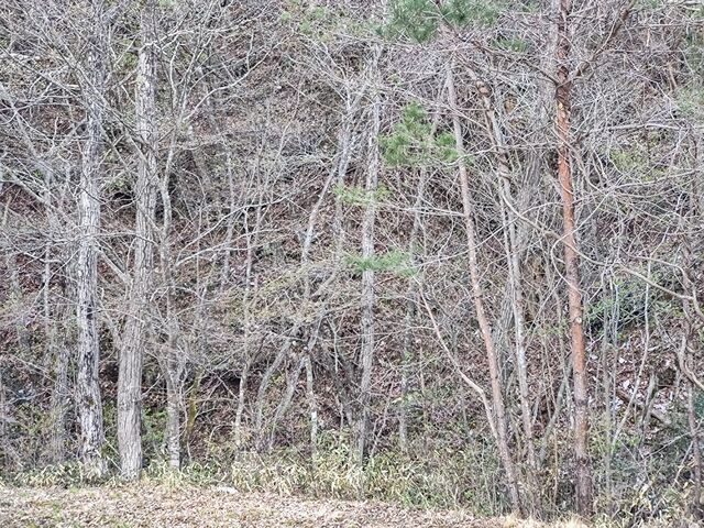IMG_20220416_140741017_edited