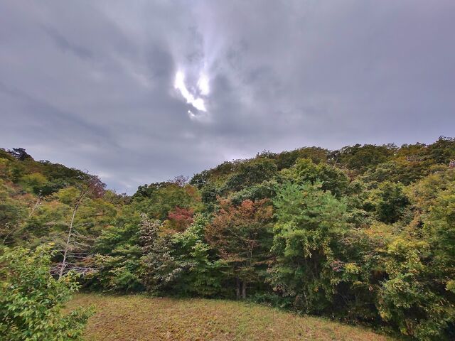 IMG_20221022_113506485