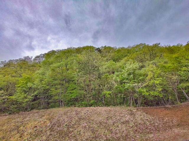IMG_20220501_072812476_HDR_edited