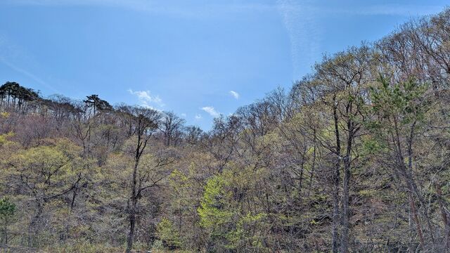 PXL_20250419_020057235