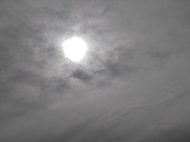 IMG_20220213_103945786