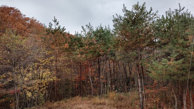 IMG_20221113_101902646_HDR