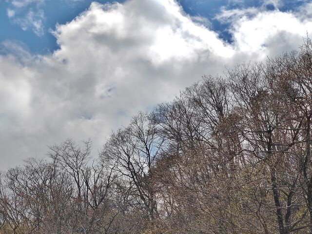 IMG_20220416_125815838