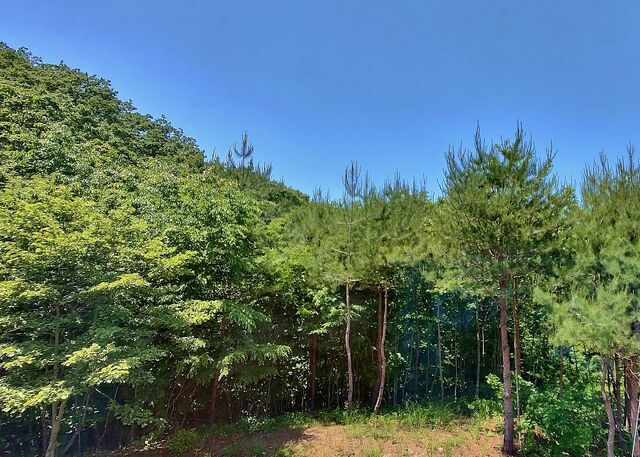 IMG_20220529_114249104_HDR