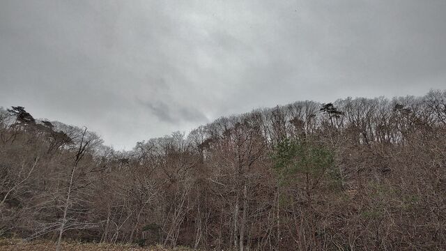 IMG_20221229_122845886_HDR