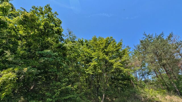 PXL_20260517_013829314