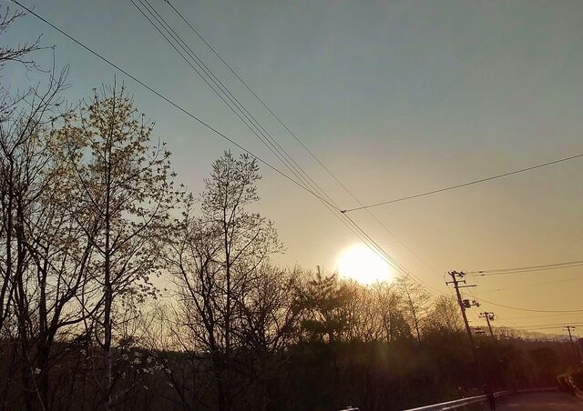 IMG_20220412_170855690_HDR