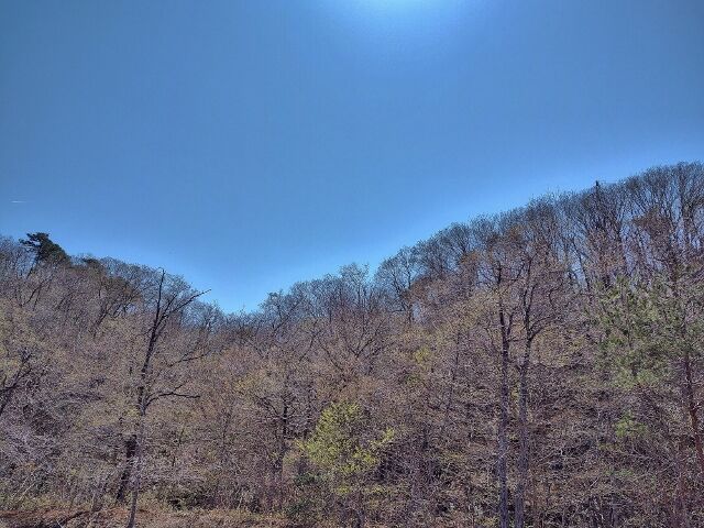 IMG_20220417_120110920_HDR (640x480)