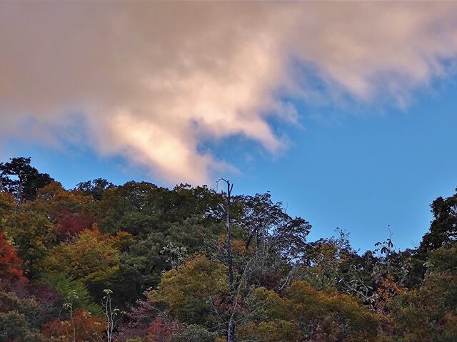 IMG_20221030_161846432