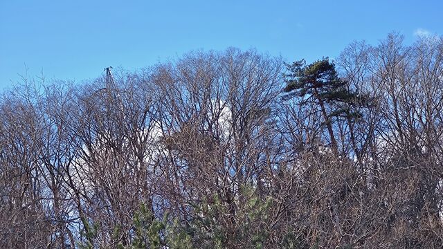 IMG_20221230_102029298