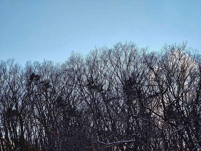 IMG_20220205_161208683