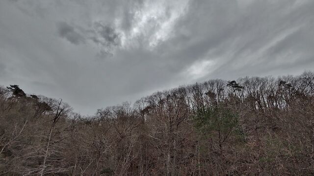 IMG_20230114_114638829_HDR
