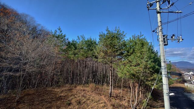 IMG_20221127_102813698_HDR