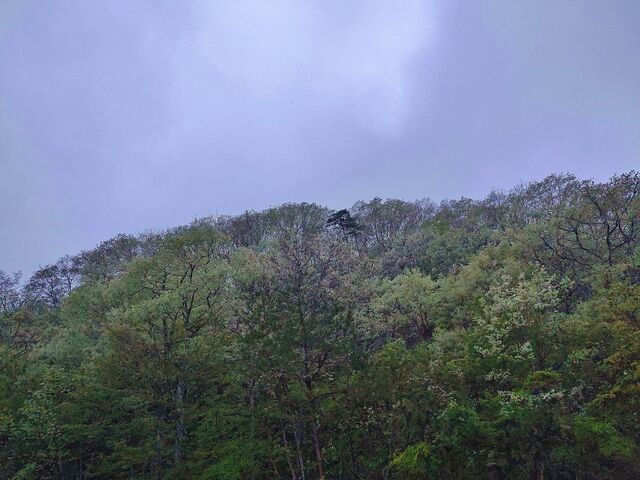 IMG_20220426_181234861