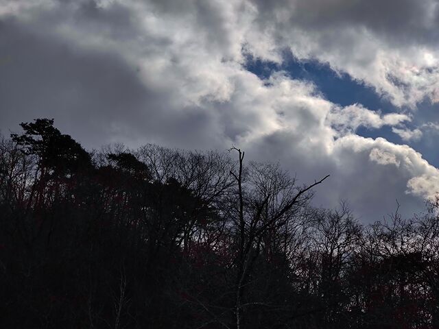 IMG_20220130_115133668