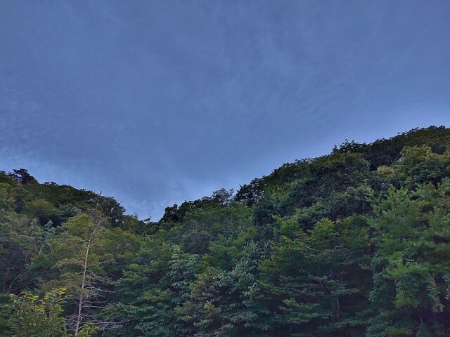 IMG_20220829_181010568_HDR