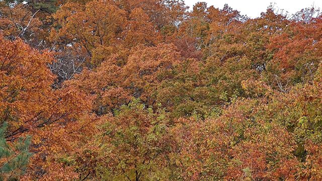 IMG_20221113_101612122