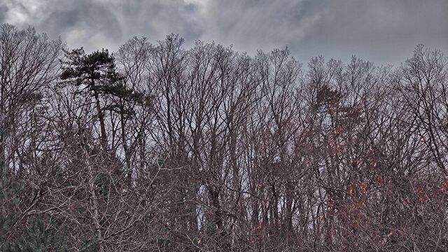 IMG_20221204_144731664-01