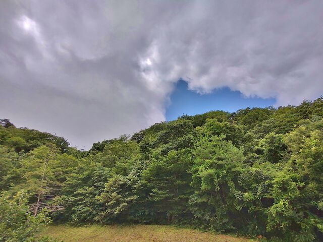 IMG_20220806_101359305_HDR