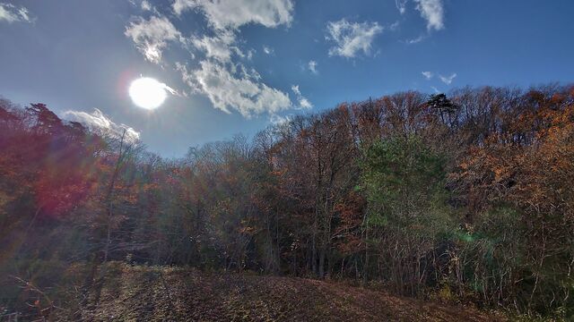 IMG_20221127_102614798_HDR