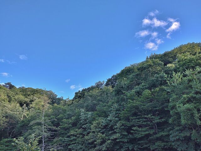IMG_20220723_174011233_HDR