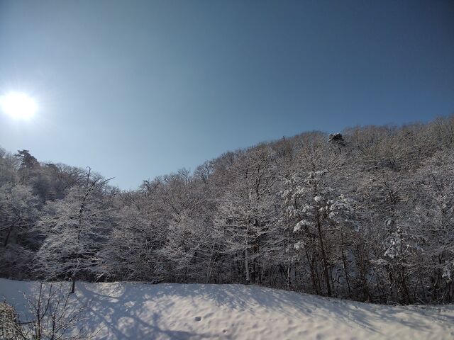 IMG_20220211_094955761