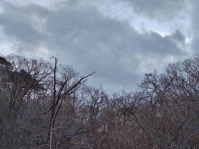 IMG_20220331_174138272
