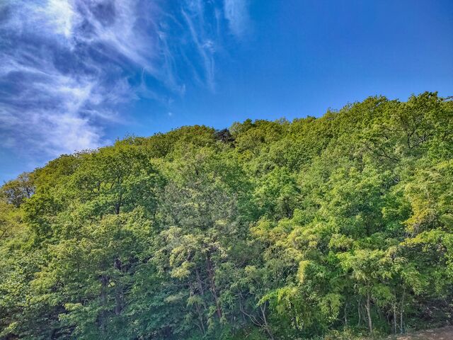 IMG_20220507_104540033_HDR_edited