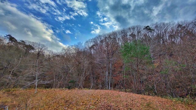 IMG_20221204_144701041_HDR-01