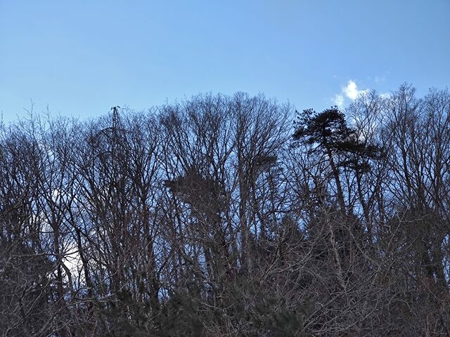 IMG_20220130_115124771