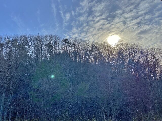IMG_8564 (640x480)